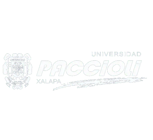 Universidad Paccioli Xalapa